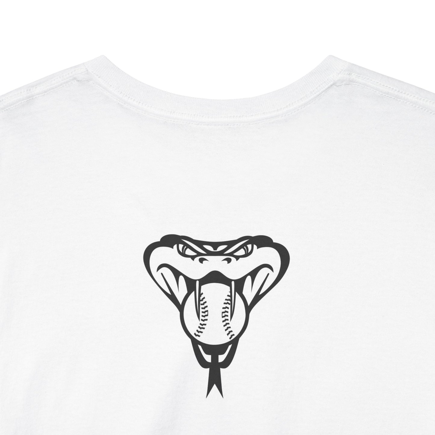 Arizona Diamondbacks T‑Shirt — Retro State Graphic Tee with Snake Logo